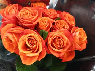 Close-up Orange Roses Flowers Bouquet
