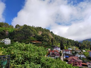 Fototapeta na wymiar Morning view of Nuwaraeliya , Sri Lanka