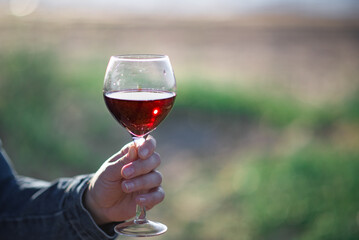 glass with red wine in hand on a blurred background of green grass