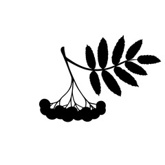 Rowan branch Silhouette