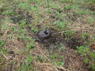 Military excavations near Novgorod the Great, Russia, 2011 (109)