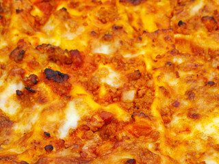 Obraz na płótnie Canvas Homemade italian lasagna close-up view