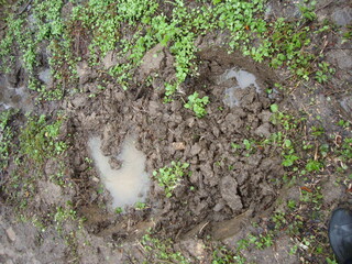 Military excavations near Novgorod the Great, Russia, 2011 (13)