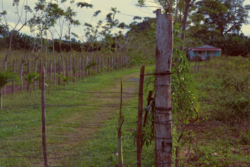 countryside in cuba