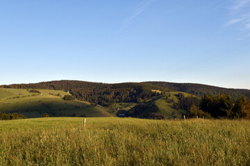 Gr&uuml;ne Wiesen und W&auml;lder auf dem Schauinsland