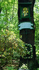 Obraz święty Marii umieszczony n starym Dębie w mieście Żory, podbisany: "Któlowo korony polski módl się za nami". © Sławek