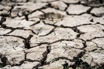 dry cracked earth