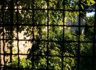 steel rusty fence fences green spaces