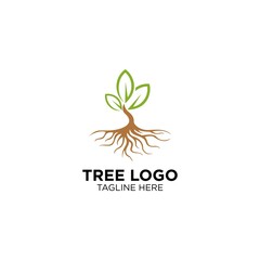 Tree With Root Logo Design