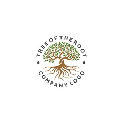 Tree With Root Logo Design