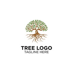 Tree With Root Logo Design