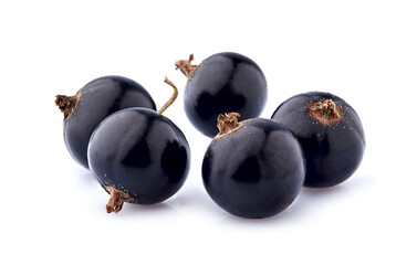 Black currant berries on White Background