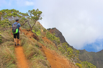 Obraz premium Napali coast in Kauai, Hawaii - Kalepa Ridge trail. View on the back of man hiker / backpacker walking on the steep dangerous cliff edge with the view on green lush valley in tropical paradise.
