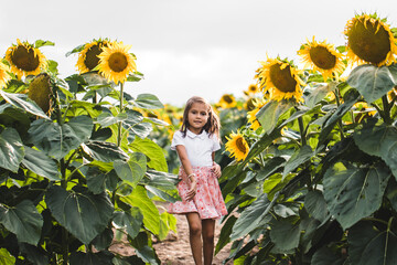Pretty girl standing among sunflowers