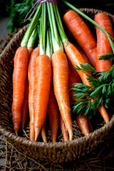 ripe carrots in a basket