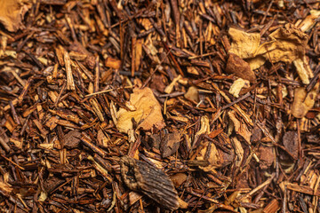 Macro from assorted tea leaves and fruits
