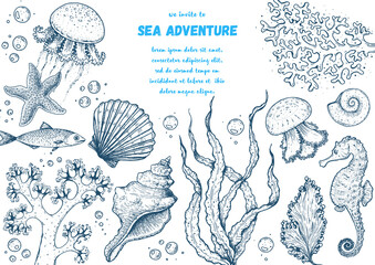 Underwater world hand drawn collection. Sketch illustration. Seaweed, coral, seashells, starfish, jellyfish, fish illustration. Vintage design template. Undersea world collection.