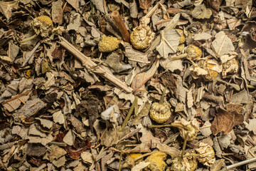 Macro from assorted tea leaves and fruits
