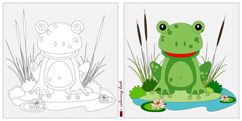 Black and white and color images for a color book. Contour drawing with children's themes. On the Bank of the pond among the plants and water lilies sits a small frog. 
