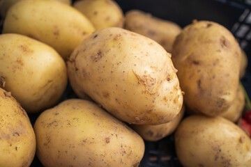 Bio organic young potatoes sold on market