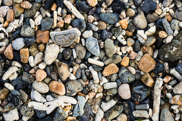 Multi-colored colorful sea pebbles, natural background, texture. Close-up texture of colorful sea pebbles. Sea background and beach