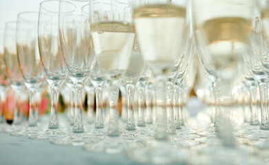A row of wine glasses on a table