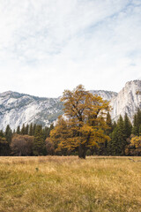 autumn landscape of Yosemite National Park, California