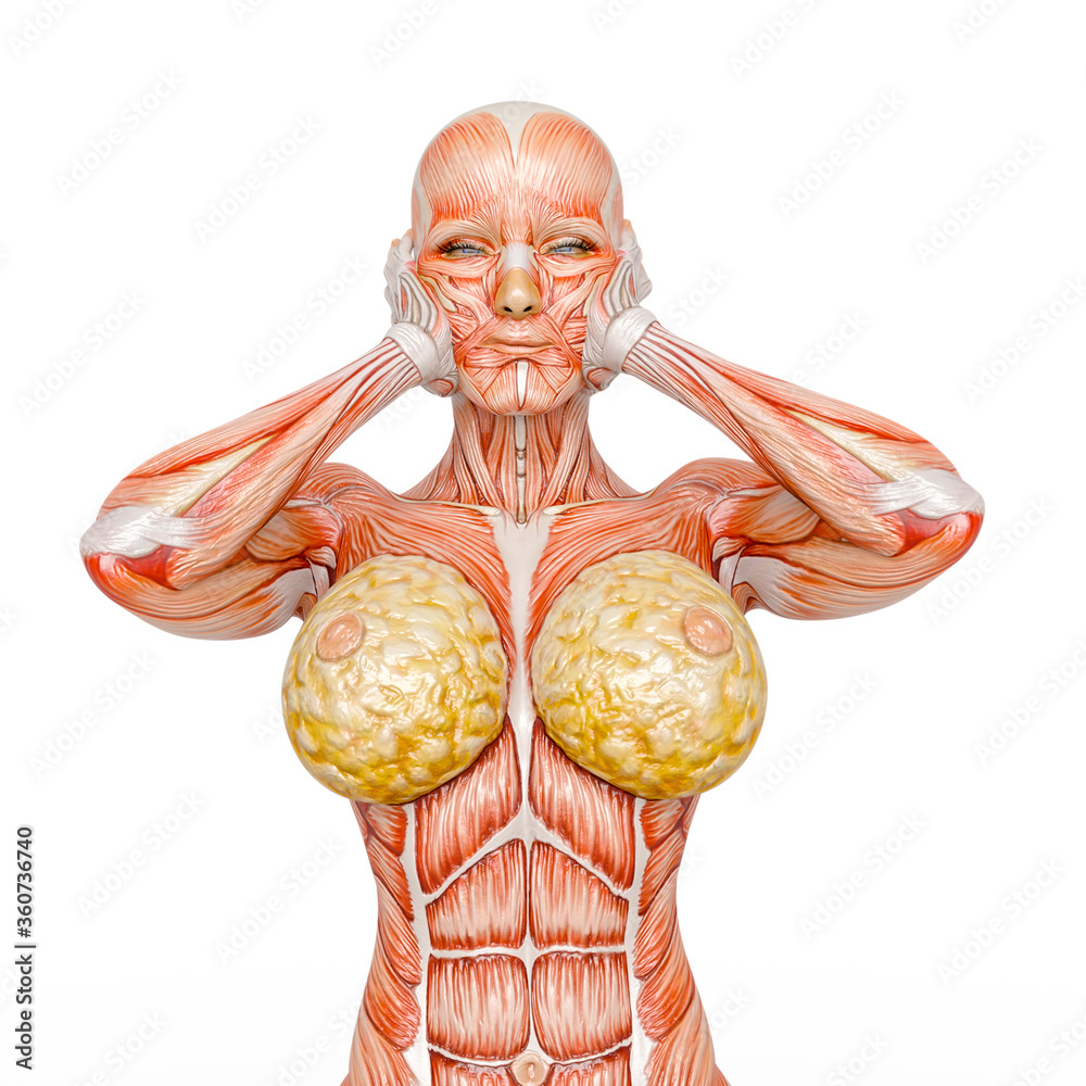 Wall mural female bodybuilding in muscle maps is upset in white background