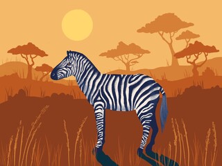Fototapeta na wymiar Zebra in the savanna illustration. Beautiful savanna illustration. Safari illustration 