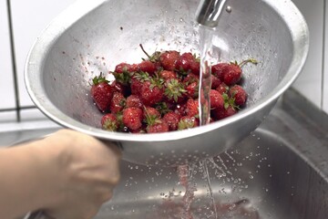 Closeup of fresh ripe strawberries washed at a sink in a colander