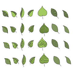 green leaves of wood set in isolation handmade