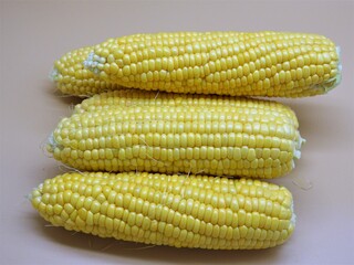 とうもろこし16