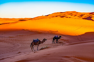 Fototapeta na wymiar Sahara desert near Merzouga, Morocco