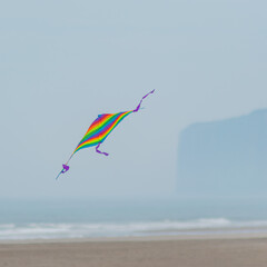 kite on the beach