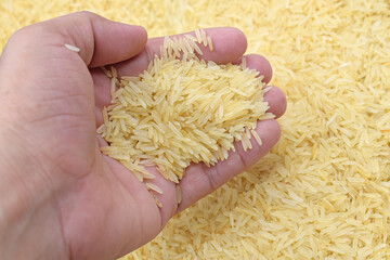 uncooked brown rice on hand