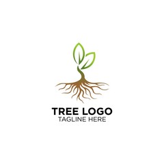 Tree With Root Logo Design