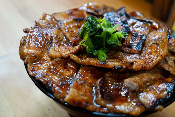 grilled pork with sauce on rice