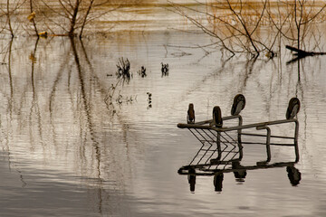 Closeup of upside down shopping cart in flooded river