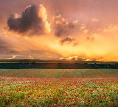Epic landscape image of poppy field in English countryside during Summer sunset with beautiful sky and cloud formations
