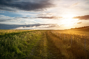 Fototapeta na wymiar Lovely landscape image of agricultural English countryside during warm late afternoon Summer light