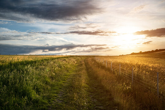 Lovely landscape image of agricultural English countryside during warm late afternoon Summer light