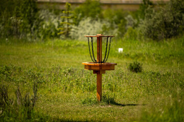 Disc Golf hole