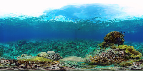 Underwater Scene Coral Reef 360VR. Tropical underwater sea fishes. Virtual tour 360. Panglao, Philippines.