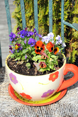 Colorful big planter flowers cup.
