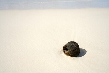 Okinawa,Japan-June 21, 2020: A coconut on white beautiful sand of Toguchinohama beach in Irabujima island, Japan
