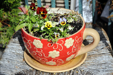 Colorful big planter flowers cup.