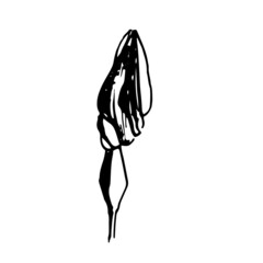 silhouette of a flower