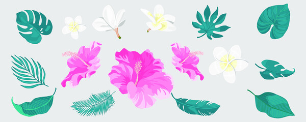 set of tropical palm leafs and flowers of plumeria and hibiscus vector