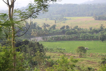 The view from the top of the mountains in West Java