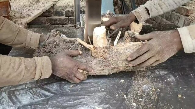 Slow motion cutting wood in sawmill by skilled craftsmen-closeup shot